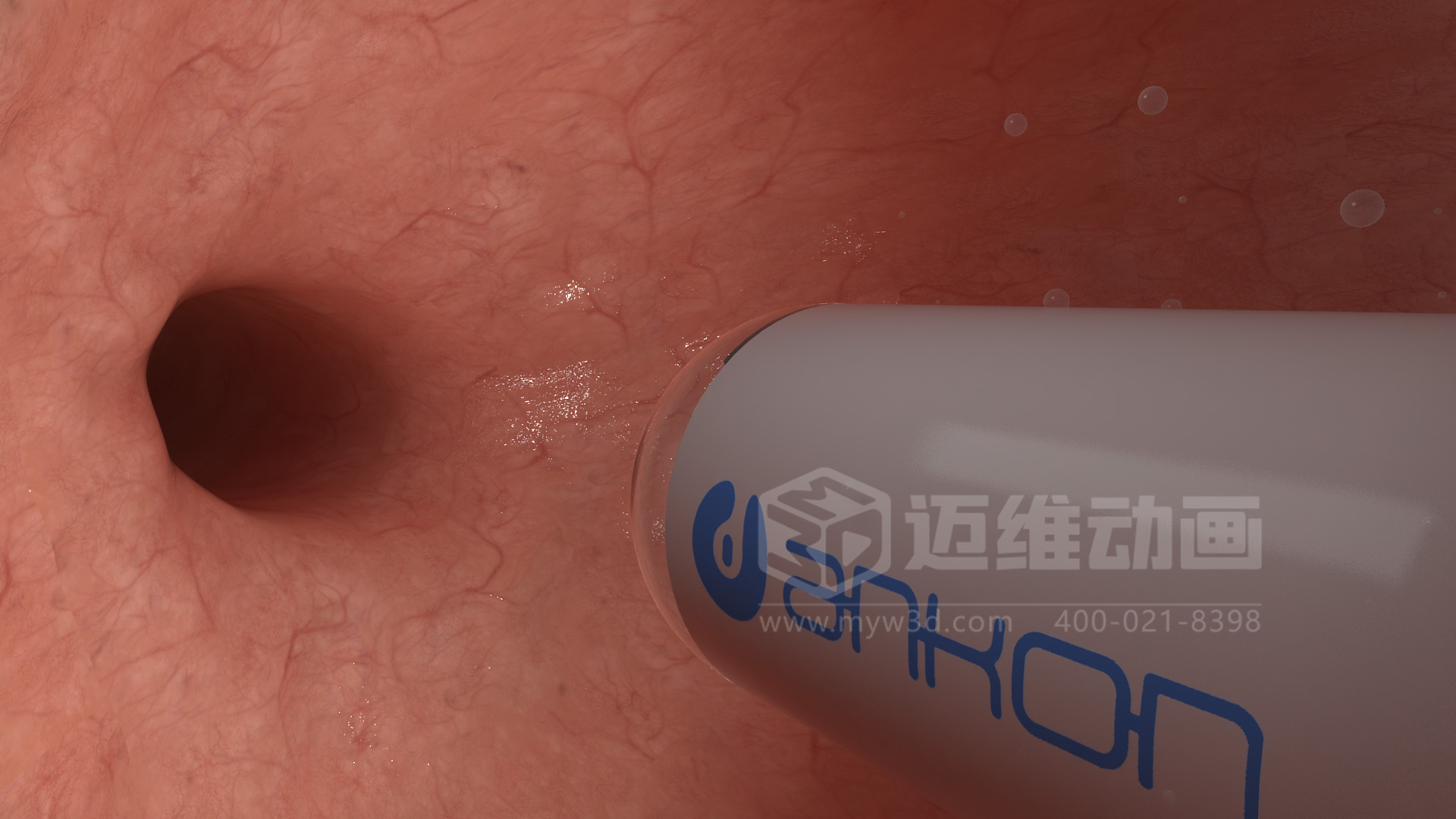 磁控膠囊機(jī)器人三維動畫(圖4)