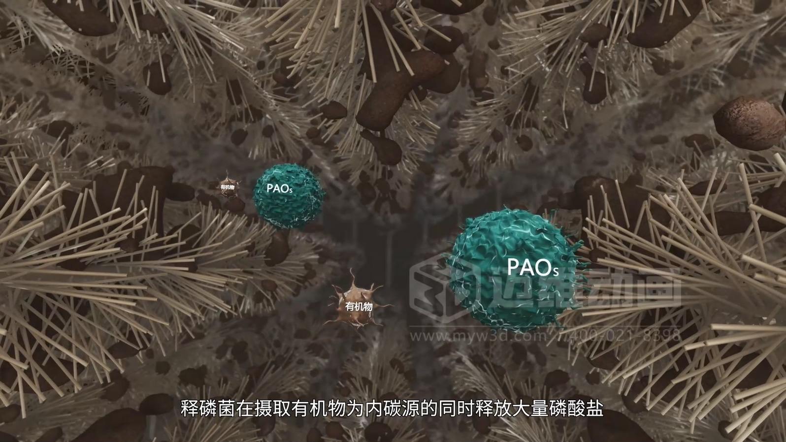 驚爆！三維動畫全方位展示鄉(xiāng)鎮(zhèn)污水一體化處理工藝，環(huán)保企業(yè)機遇來襲(圖4)